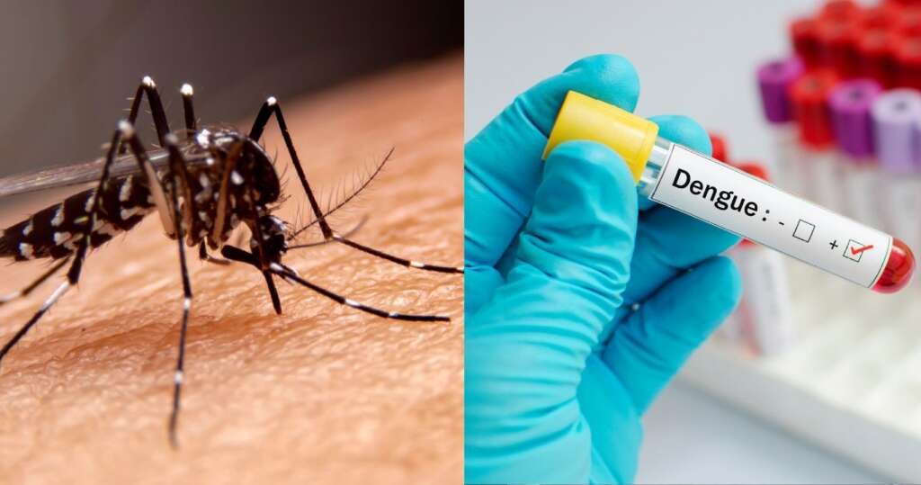 dengue