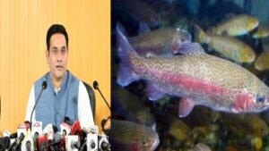 RainbowTrout